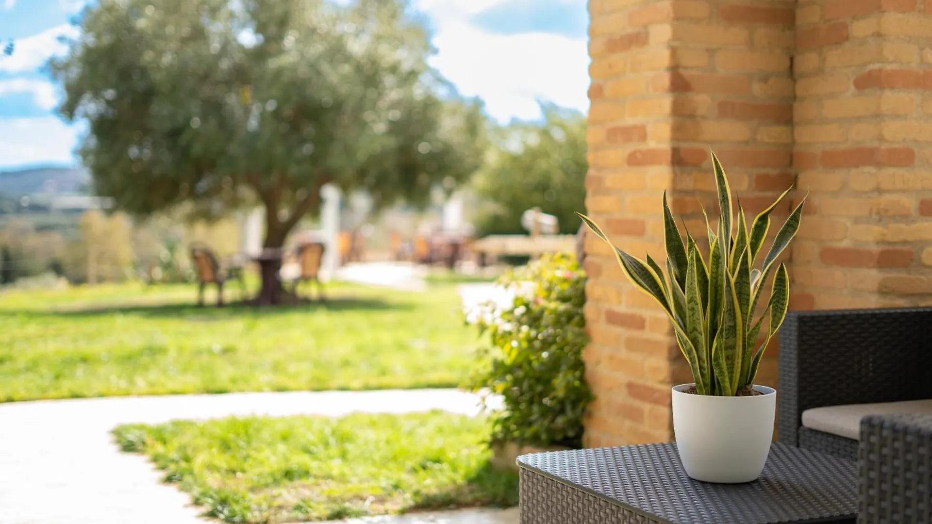 Hotel Essenza Di Mirto La Caletta 3*,